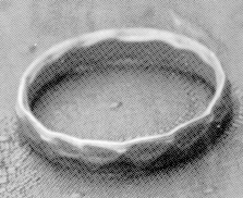 verwijderen neus Vermomd a little history lesson: the iron ring